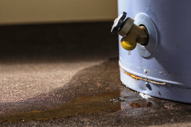 Best Ceiling water damage repair  in Puget Island, WA
