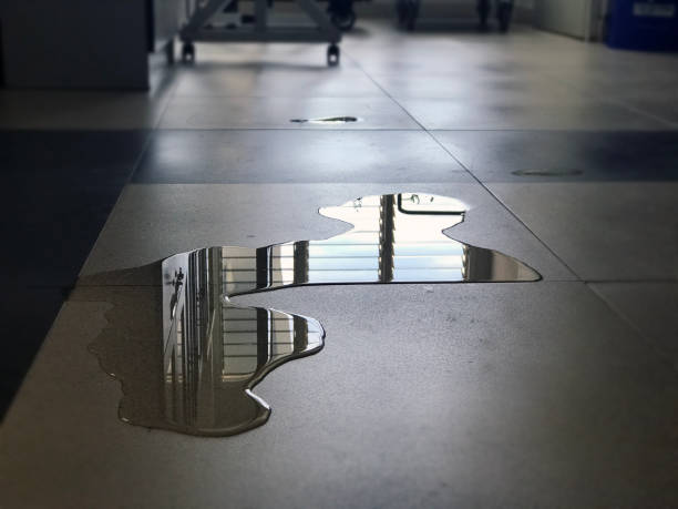 Best Water damage restoration near me  in Puget Island, WA