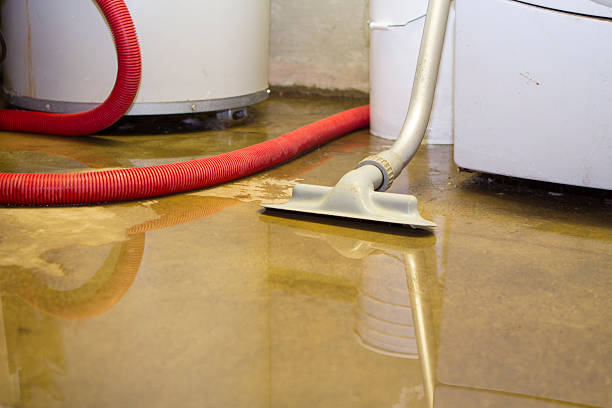 Best 24-hour water damage restoration  in Puget Island, WA