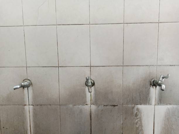 Best Flood restoration services  in Puget Island, WA