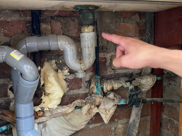 Best Ceiling water damage repair  in Puget Island, WA