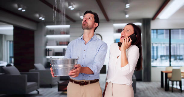 Best Fire Damage Restoration  in Puget Island, WA