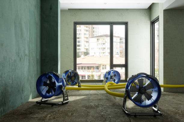Best Water damage cleanup near me  in Puget Island, WA